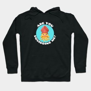 Are You Squidding Me | Squid Pun Hoodie